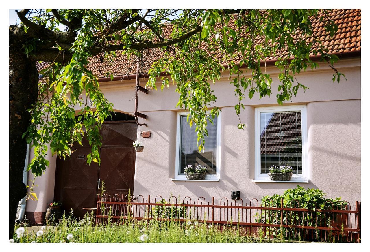 Ubytovani U Trati Hotel Moravska Nova Ves Luaran gambar